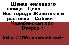 Щенки немецкого шпица › Цена ­ 20 000 - Все города Животные и растения » Собаки   . Челябинская обл.,Озерск г.